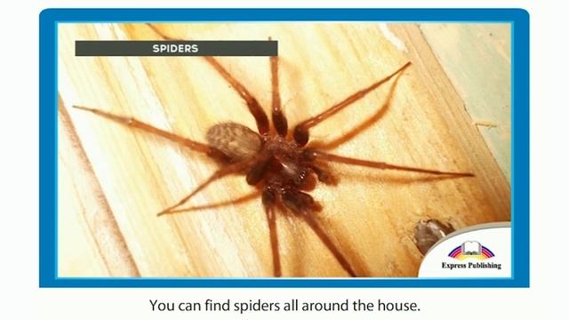 5-сынып. Ағылшын тілі пәні. Are you home alone? смотреть онлайн