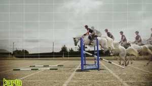 Лошади / кони клип. Клип про лошадей #3 , equestrian sport