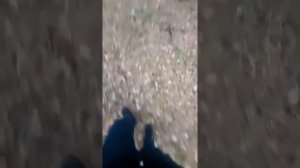исипи