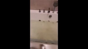 Гидромассажная ванна Frank F102 170x80