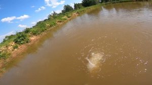 Лиса решила отомстить ! Сделал бюджетный аэратор в пруд [Жизнь в деревне]