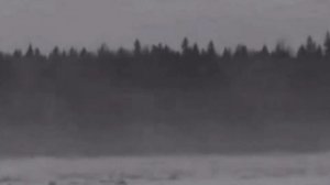 Александр ВЕСТОВ  "Оттепель "