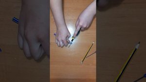 Как сделать кольцо для домашних голубей