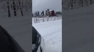 Nissan wingroad 2006 4.WD snow drive