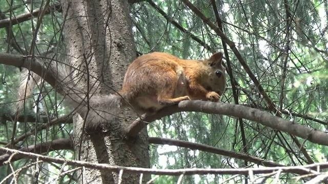 В мире столько интересного.