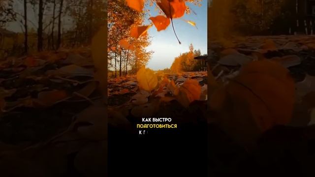 Энергии которые нужно взять из уходящего 2023 смотреть онлайн