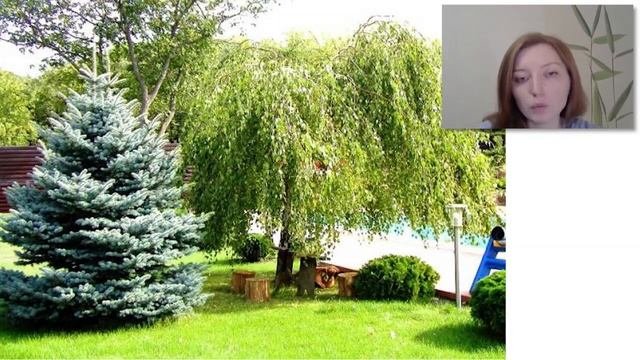Сад малого ухода. 7 принципов.