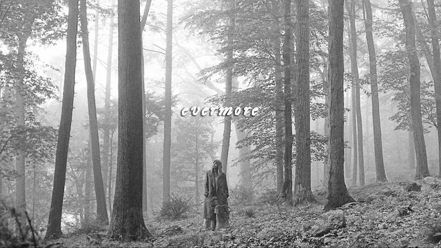 taylor swift playlist for cold snowy day | calm songs to cozy up, relax, study, work, or sleep