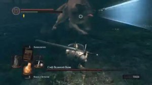 Dark Souls Пришёл за Кольцом Арториаса, а встретил Волка...