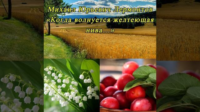 Когда волнуется желтеющая нива… - Лермонтов М. Ю. #shorts смотреть онлайн