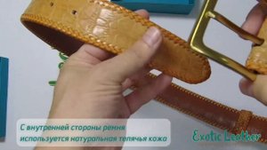 Мужской широкий ремень из кожи крокодила с оплеткой по краю