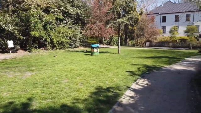 DJI OSMO POCKET ЧЕСТНЫЙ ОТЗЫВ# ПРОБЛЕМЫ С МИКРОФОНОМ# НЕ ПОКУПАЙТЕ ЭТУ КАМЕРУ НЕ ПОСМОТРЕВ ЭТО ВИДЕ смотреть онлайн