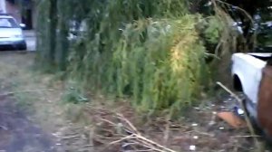 Заброшенные машины #2 ваз 2106