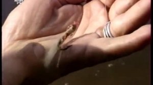 Рыбацкие самоделки 46.Оснастка для ловли жереха.