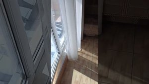 Вид с Гостиницы маяк на пляж и море Лазаревского!! Извините за мат снимал для друга!!))