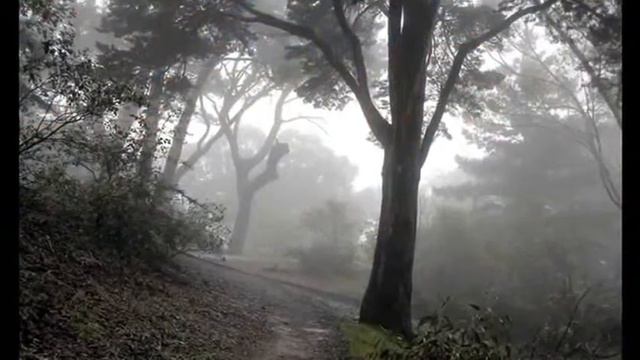 Secret Garden   Chaconne смотреть онлайн