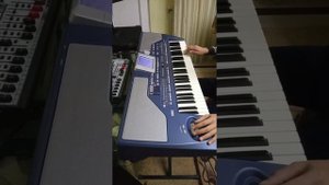 Armenian rabiz music on Korg Pa 800 #sintez#rabiz