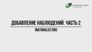 Загрузка наблюдений на iNaturalist. Часть 2.