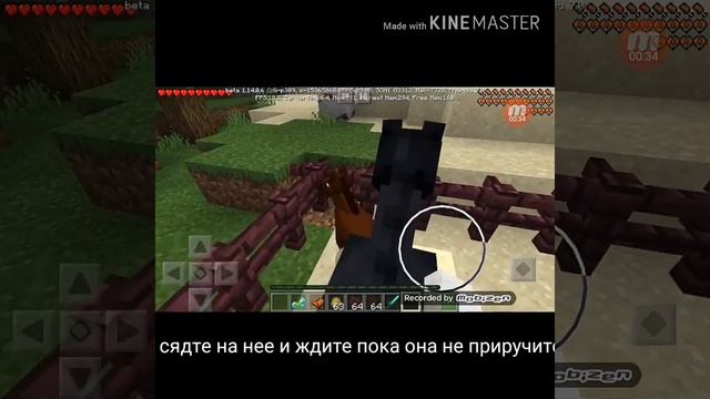 Как приручить ЛЮШАДЬ в майнкрафте смотреть онлайн