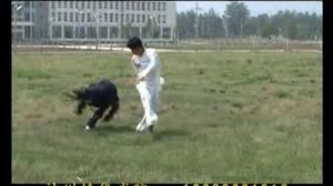 Демонстрация багуаджан.