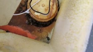зимовка пчел в максимально закрытом улье с летком в потолке и клубом пчел у потолка