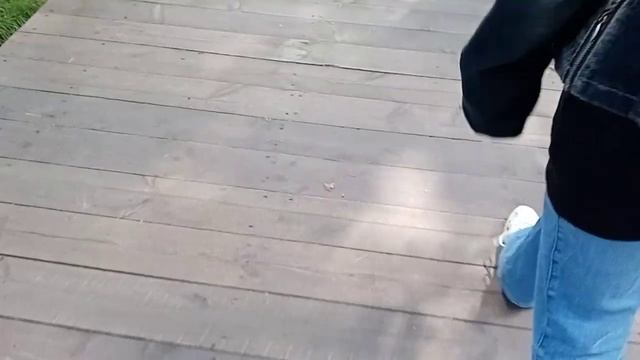 Мы с родителями в дино полисе !!?? смотреть онлайн