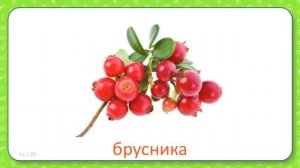 Развивающие карточки Домана для детей Ягоды