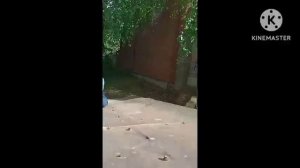 km_Экстримальные прятки Челлендж 2 часть _480p_60f_20230613_213003.mp4