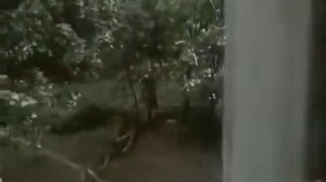 ВСПОМНИМ ★♥♫♥♫★Поет Михай Волонтир   «Нас не нужно жалеть»   Из х ф Цыган★♥♫♥♫★