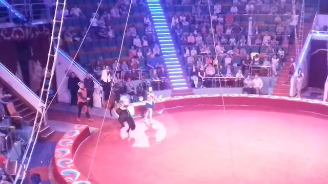 ЦИРК ФИЛАТОВЫХ В ЯРОСЛАВЛЕ.ЛИХИЕ НАЕЗДНИЦЫ смотреть онлайн