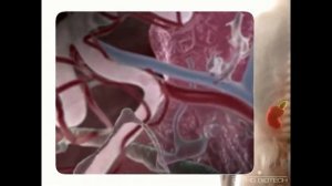 Сердечная недостаточность