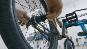 How to Install a BMX Rear Wheel | SkatePro