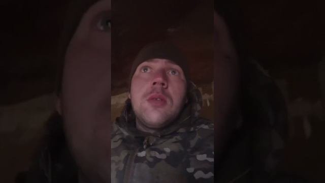 Частью установившей. Частью установившей