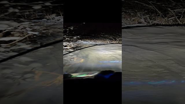 21.11.23. Наконец то зимушка пришла?