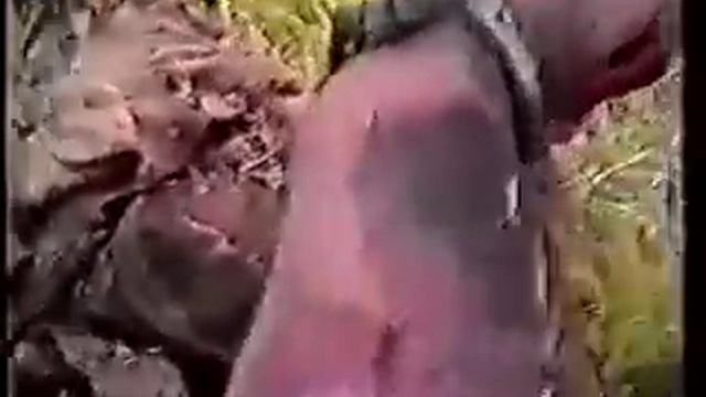 Грачи прилетели смотреть онлайн