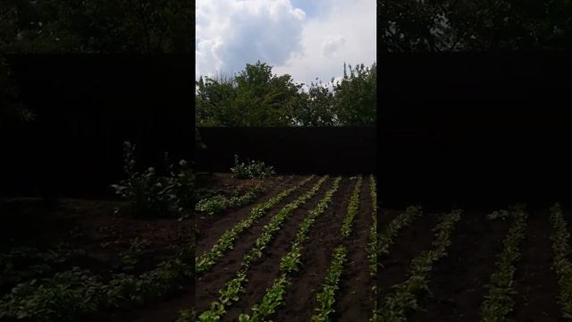 Купить дом в Воронеже т. +7(952)955-99-01