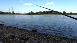 Фидерная рыбалка осенью 2019г.