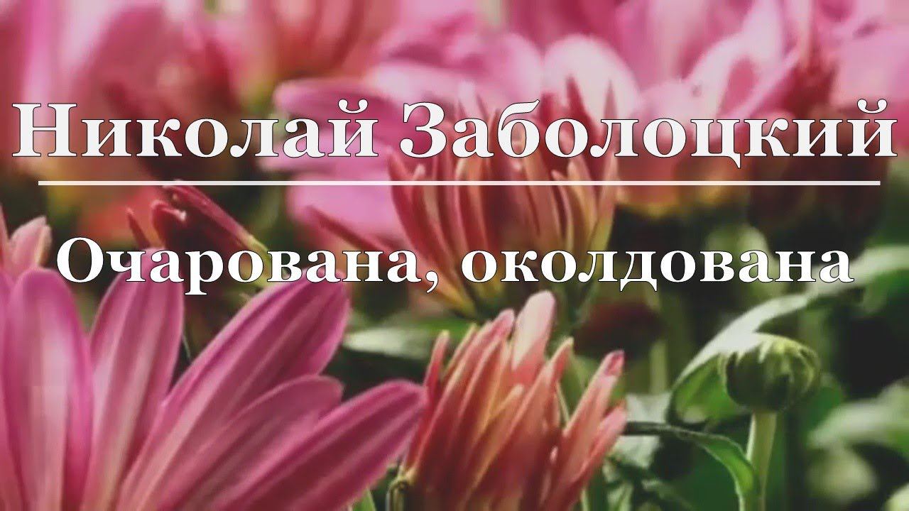 Николай Заболоцкий - Очарована, околдована
