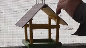 Зимняя кормушка для птиц своими руками.  Установка кормушек для птиц.