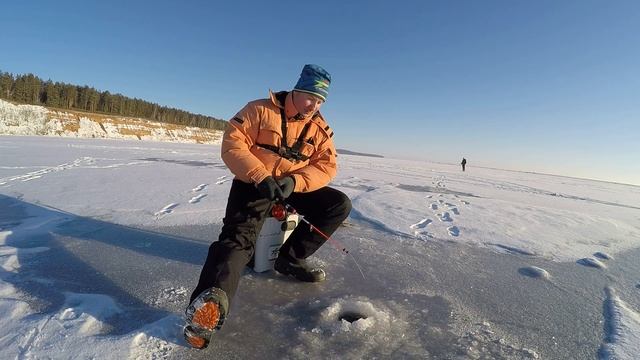 Зимняя рыбалка на берша. Ловля берша на тюльку