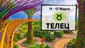 ТЕЛЕЦ ♉ 11 - 17 Март 2024 | Расклад таро на неделю для знака Зодиака Телец