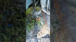 Снятие сошки ваз 2106