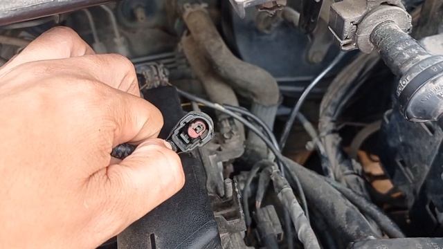 conector do chicote elétrico desconectado Ford Ka 1.5 Dragon смотреть онлайн