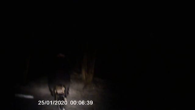 На питах по ночному январскому лесу или Китайский новый год смотреть онлайн