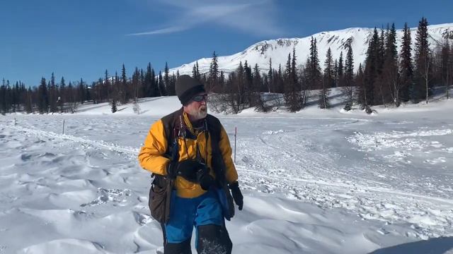 Capturing Dog Teams in Motion :: Alaska Photography смотреть онлайн