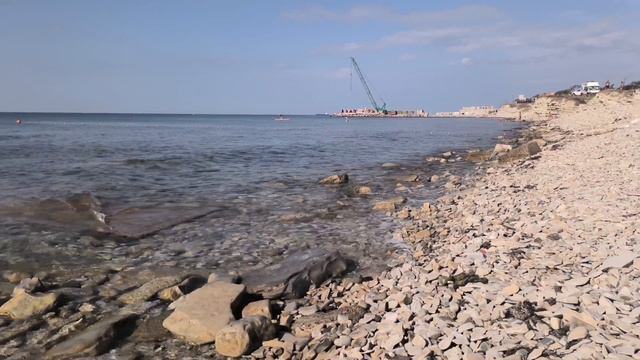 Дельфины, Геленджик, Тонкий мыс - 7 сентября 2024