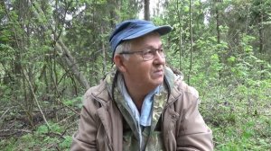ПРОГУЛКА ПО ЛЕСУ . ГРИБЫ . НАВИГАТОР - гармин 64