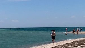 Бакальская коса, Крым, Стерегущее