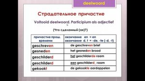 Урок 26. Голландский (нидерландский). Деепричастие. Причастие.