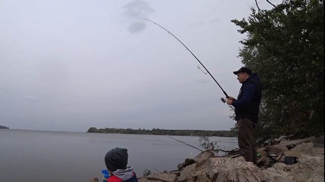 Семейная рыбалка на дамбе. Ловим тарань и бычков на удочку смотреть онлайн